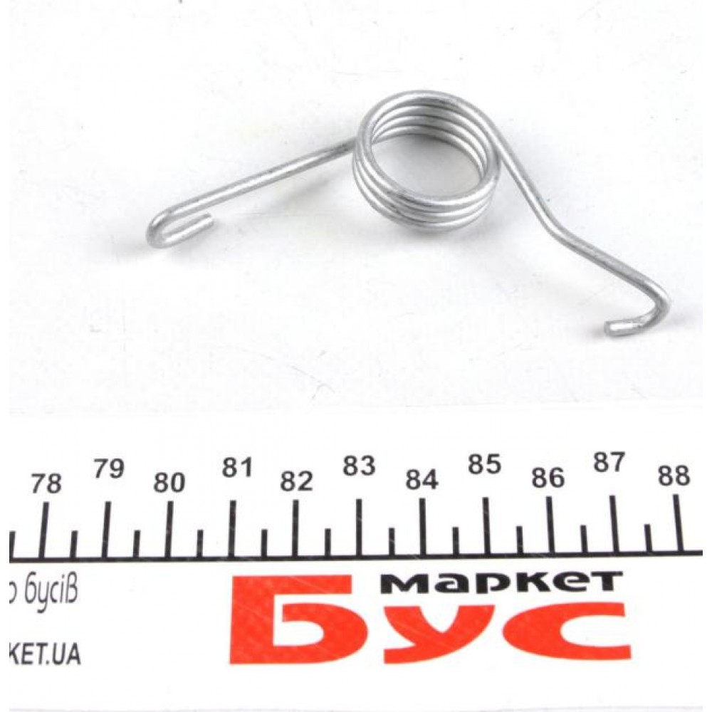 Пружина супорта (заднього) Renault Trafic 01- (R)