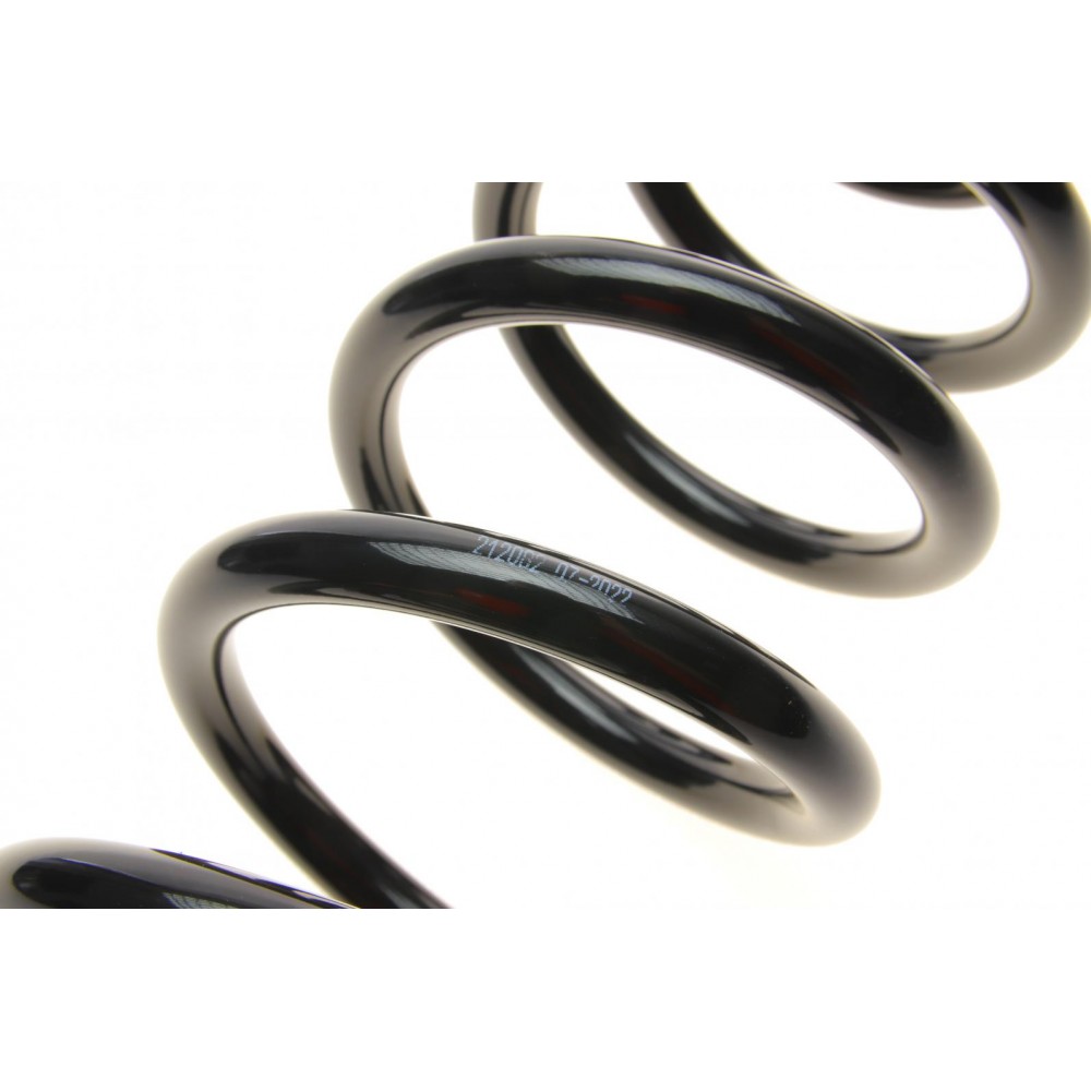 Пружина (задня) VW Passat B6 1.4-1.8TSI/1.6-2.0FSI/1.9-2.0TDI 05-11 (седан/унів.)/Tiguan 07-18