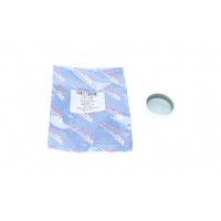 52045 AIC Пробка антифризу
