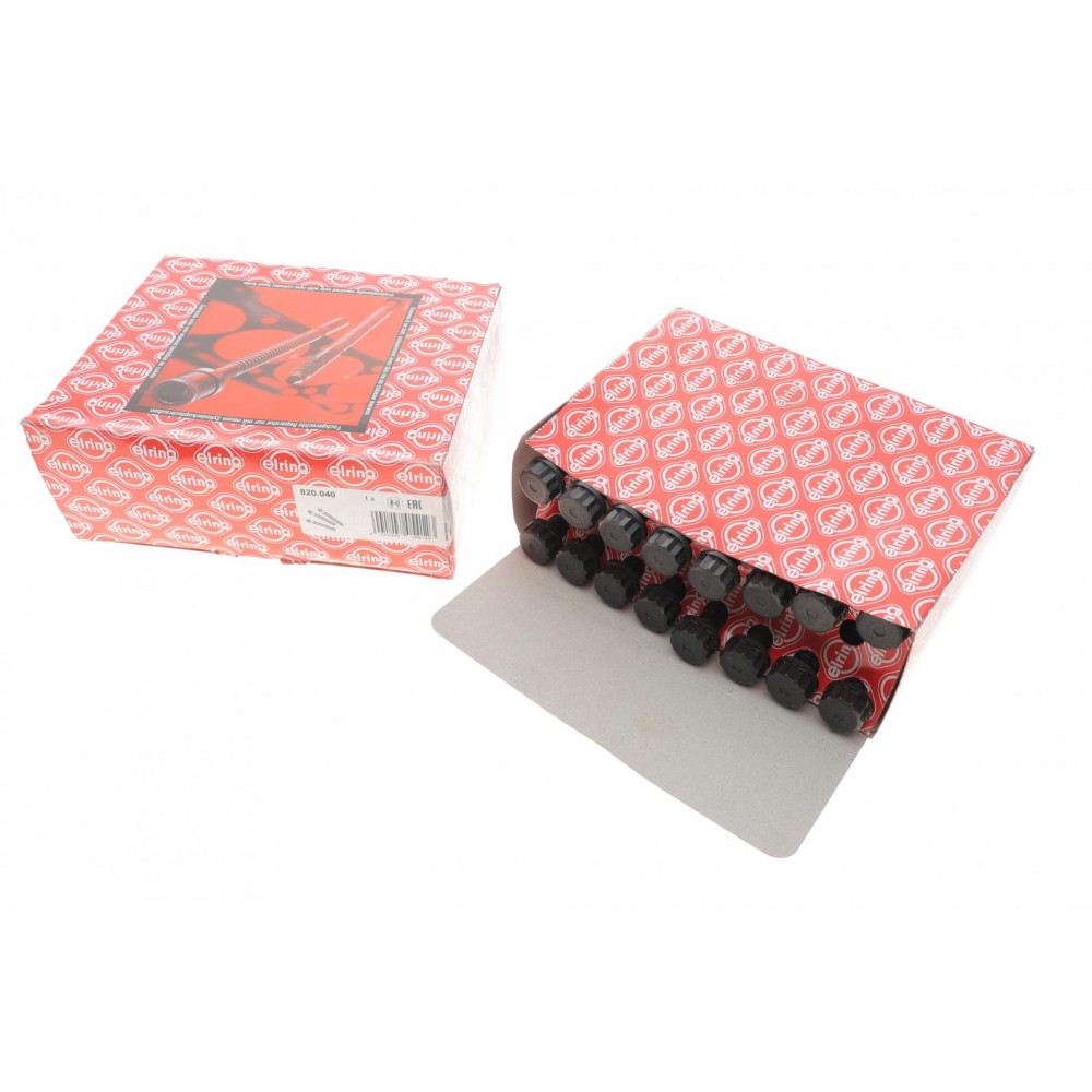 Комплект болтів головки циліндра ELRING 820.040