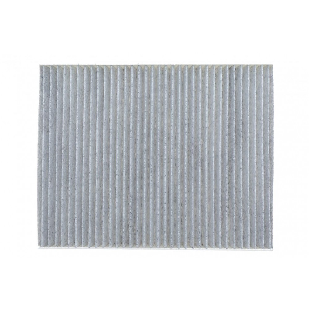 Фільтр салону Ford Fiesta 1.0-1.6TDCI 08- (вугільний)