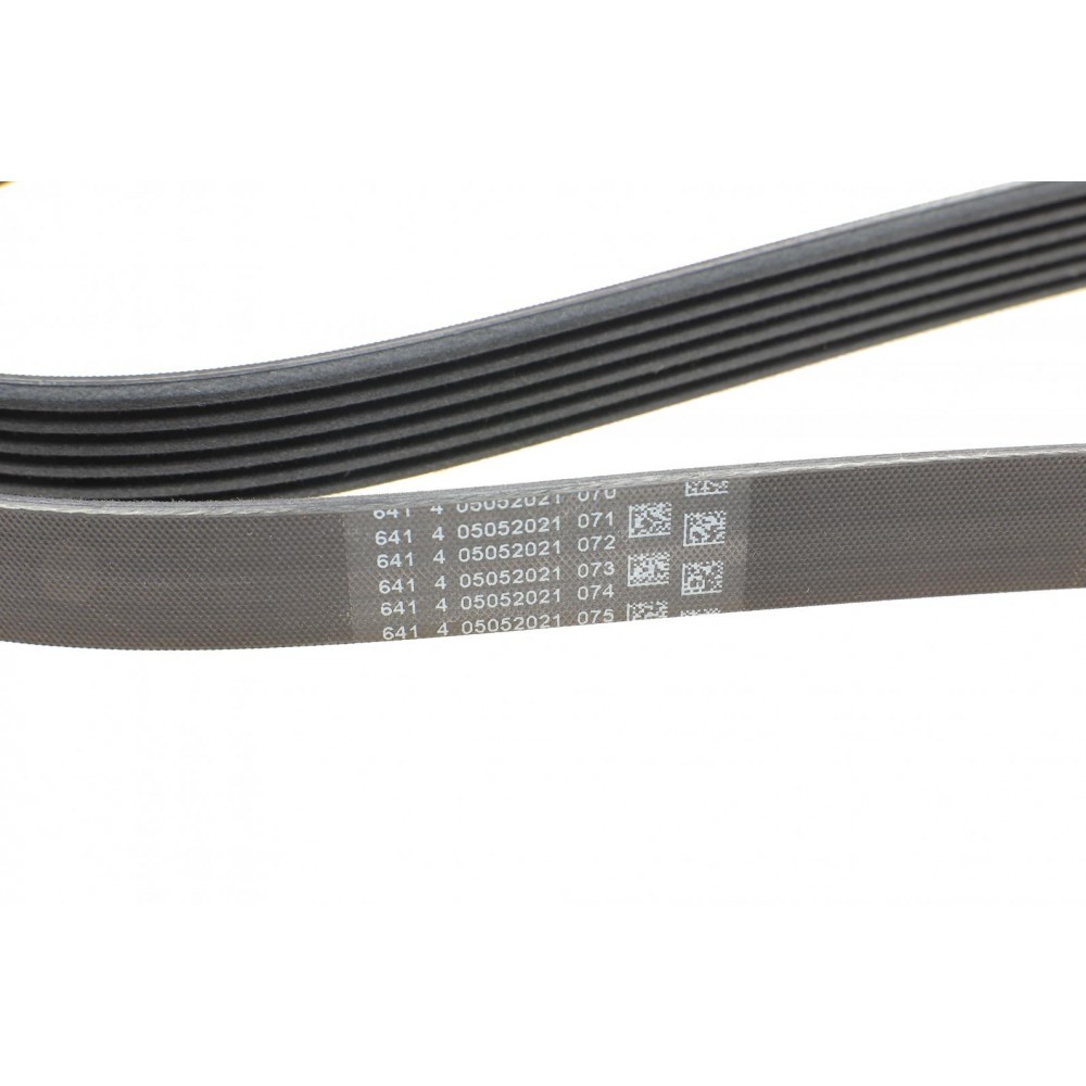 Ремінь генератора Citroen Jumper 1.9TD 94-02 (ALT,PS,AC)