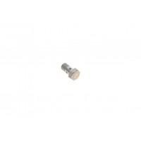 Болт турбіни (M10x1х19mm) BMW 5 (F10/F18)/X5 (F15/F85) 10- N47/B37/M51/M57