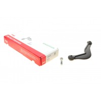 821 1176 10 FAG Ричаг незалежної підвіски колеса, подвеска колеса