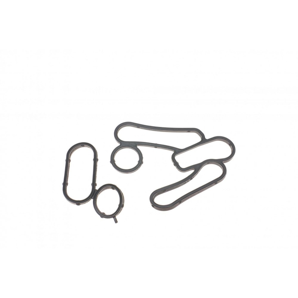 Прокладка корпуса фільтра масляного Ford Transit 2.2 TDCI 06- (к-кт)