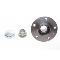 R14089 SNR Комплект підшипника ступиці колеса