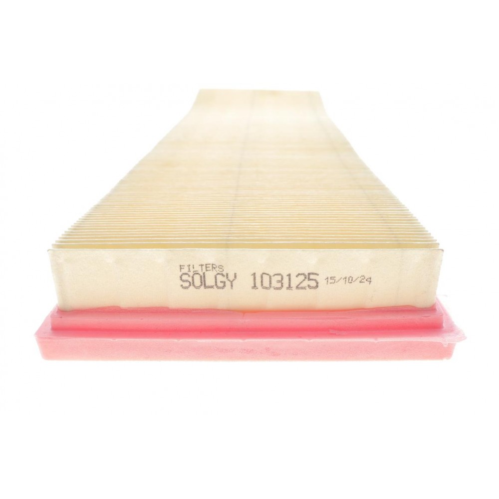 Фільтр повітряний VW Golf 2.5 V5 09-14/Jetta 2.5 V5 05-/Passat 2.5 11-/Beetle 2.5 V5 11-19