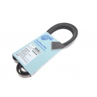 AD05R1546 BLUE PRINT Поліклиновий ремінь