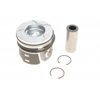 Поршень Citroen Berlingo/Fiat Scudo 1.6HDI/D (75.50mm)