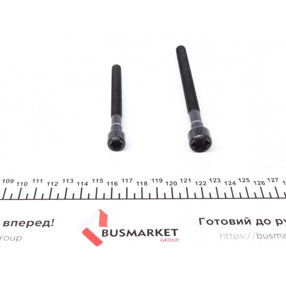 Болти головки (к-кт 14шт.) BMW X3 E83/X5 E70/130i/E81/330i E92 N52 3.0 04-, N51-N53