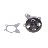 Помпа води Renault Laguna III/Megane III/Scenic III 07-15/Nissan X-Trail/Qashqai 2.0 16V 07-13