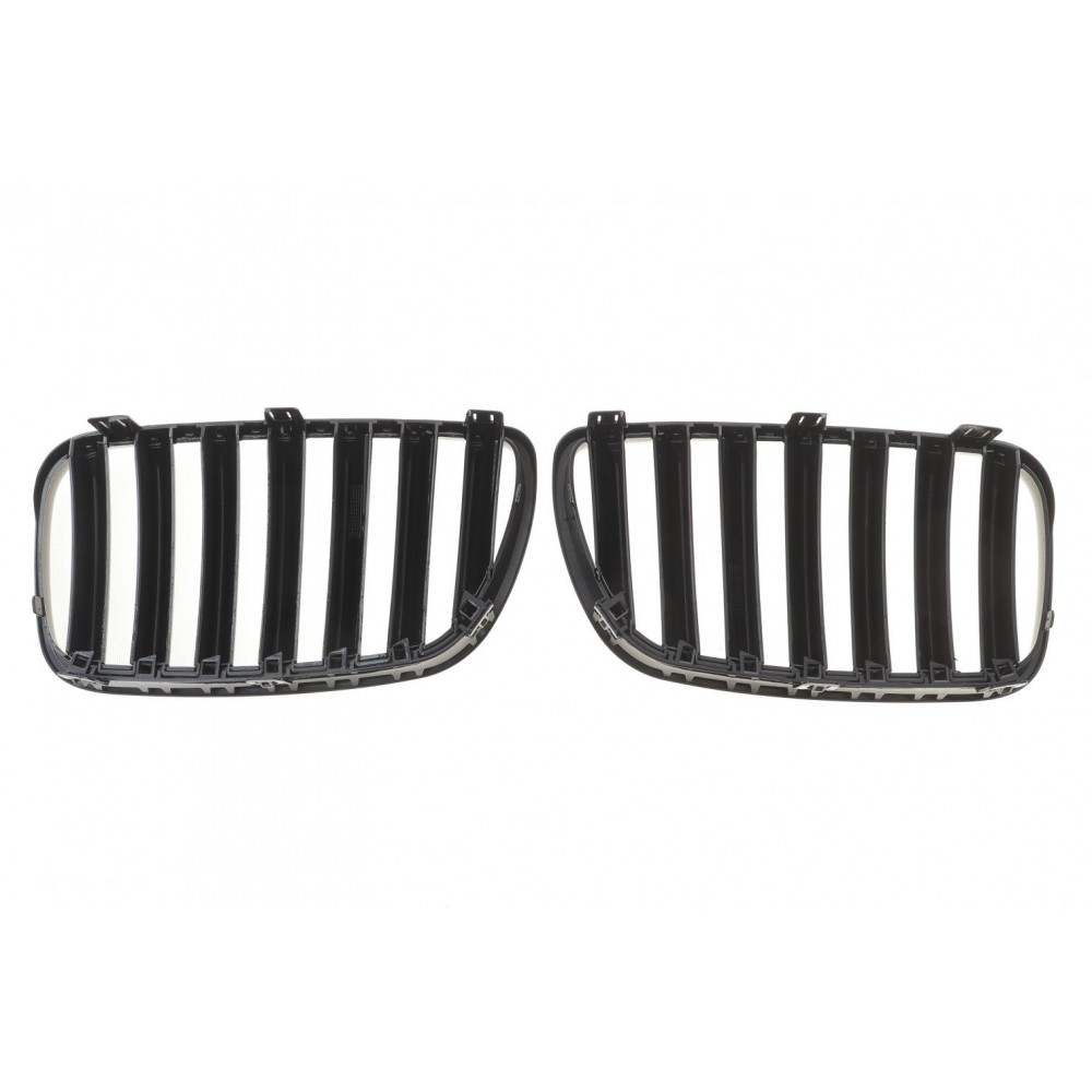 Решітка радіатора BMW X3 (E83) 07-10 (к-кт)