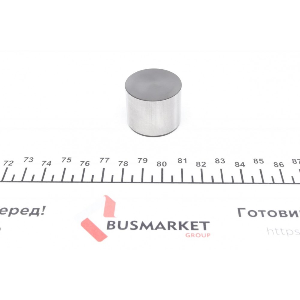 421 0029 10 INA Толкатель