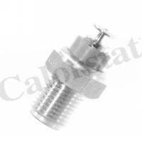 Датчик температури рідини CALORSTAT by Vernet WS2525